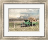 Framed Hay for Sale