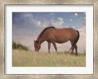 Framed Assataegue Horse