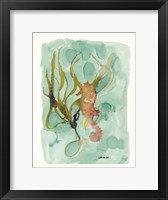 Seahorse 2 Framed Print