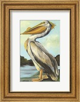 Framed Grand Pelican