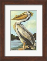 Framed Grand Pelican