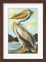 Framed Grand Pelican