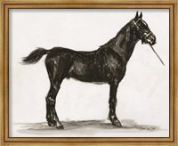 Framed Horse Study 3