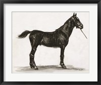 Horse Study 3 Framed Print