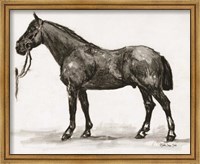 Framed Horse Study 4