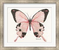 Framed Butterfly 1