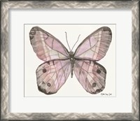 Framed 'Butterfly 5' border=