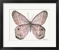 Framed Butterfly 5