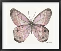 Framed Butterfly 5