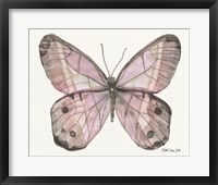 Framed 'Butterfly 5' border=