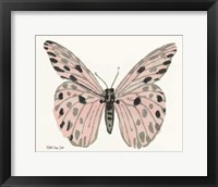 Framed Butterfly 6