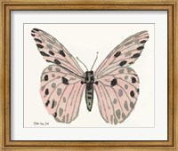 Framed Butterfly 6