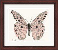 Framed Butterfly 6