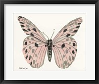 Framed 'Butterfly 6' border=