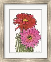 Framed Cactus Flower 1