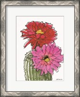 Framed Cactus Flower 1