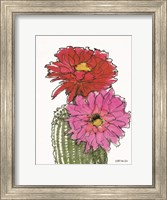 Framed Cactus Flower 1