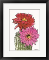 Framed Cactus Flower 1