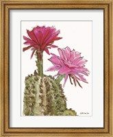 Framed Cactus Flower 2