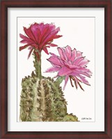Framed Cactus Flower 2