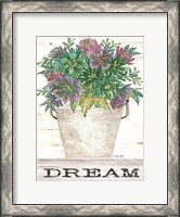 Framed Dream Succulents