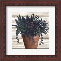 Framed 'Remarkable Succulents II' border=