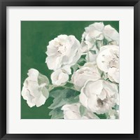 Framed Emerald Peonies