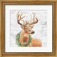 Framed Woodland Holidays Stag Gray