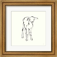 Framed Line Lamb