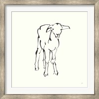 Framed Line Lamb