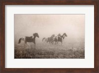 Framed Paint Horses on the Run