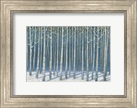 Framed Shimmering Birches