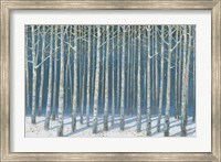 Framed Shimmering Birches