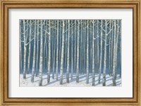 Framed Shimmering Birches