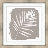 Framed Nature By The Lake - Frond II Sq