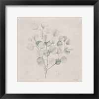 Soft Summer Sketches II Sq Framed Print