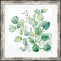 Framed 'Eucalyptus Leaves I' border=