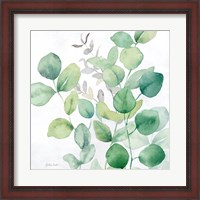 Framed Eucalyptus Leaves I
