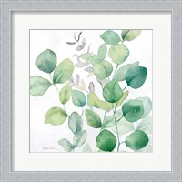 Framed Eucalyptus Leaves I