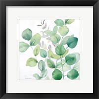 Framed 'Eucalyptus Leaves I' border=