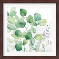 Framed Eucalyptus Leaves II