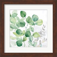 Framed Eucalyptus Leaves II