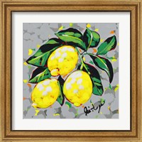 Framed 'Fruit Sketch Lemons' border=