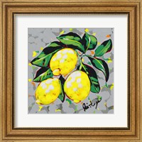Framed Fruit Sketch Lemons