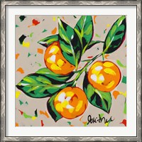 Framed Fruit Sketch Oranges