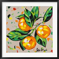 Framed Fruit Sketch Oranges