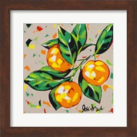 Framed 'Fruit Sketch Oranges' border=