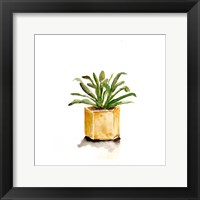 Framed Potted Botanicals II