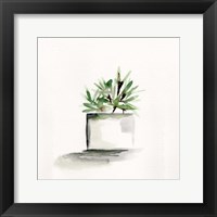 Potted Botanicals IV Framed Print