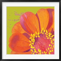 Framed Flower Pop I